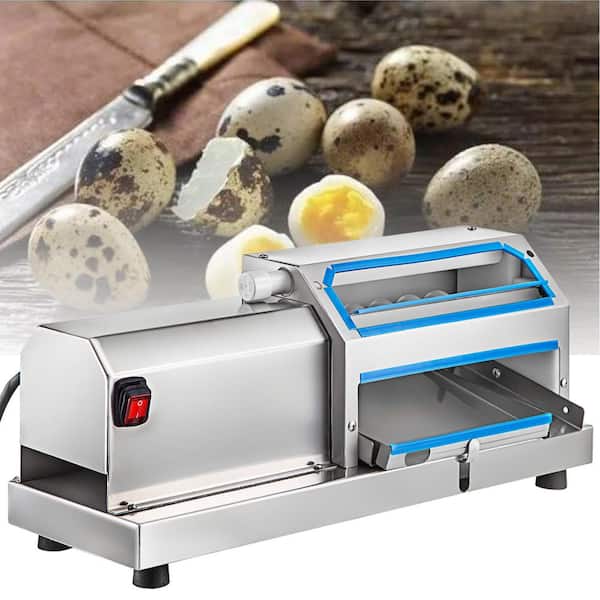 Multi-function Egg Washer Semi-Automatic Egg Surface Washing Cleaning  Machine