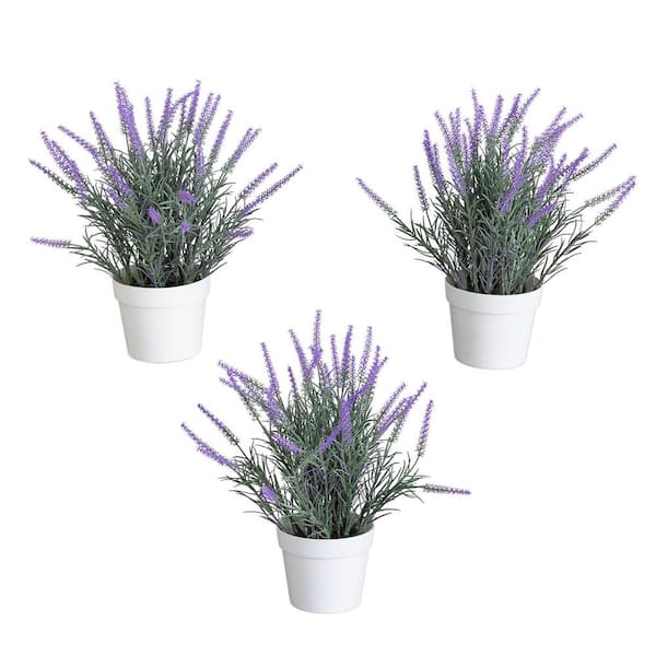 11 in. Purple Artificial Lavender in White Pot - Set of 3
