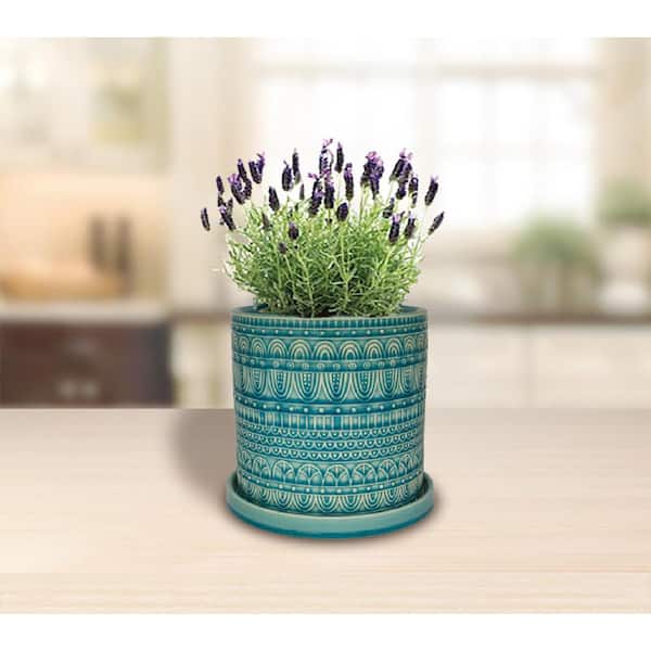 8 in. Dia Aqua Seven Seas Cylinder Ceramic Planter