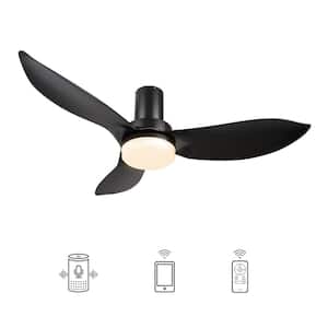 Daisy 45 in. Integrated LED Indoor Black DC Motor Smart Ceiling Fan with Light and Remote, Works with Alexa/Google Home