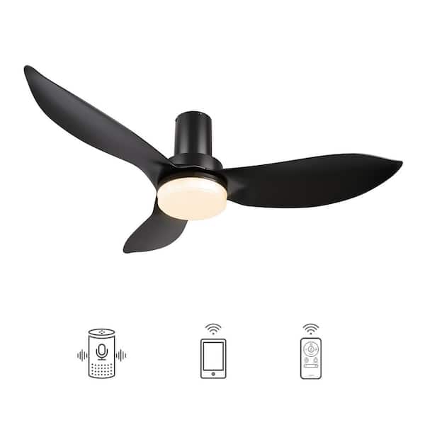 CARRO Daisy 45 in. Integrated LED Indoor Black DC Motor Smart Ceiling Fan with Light and Remote, Works with Alexa/Google Home