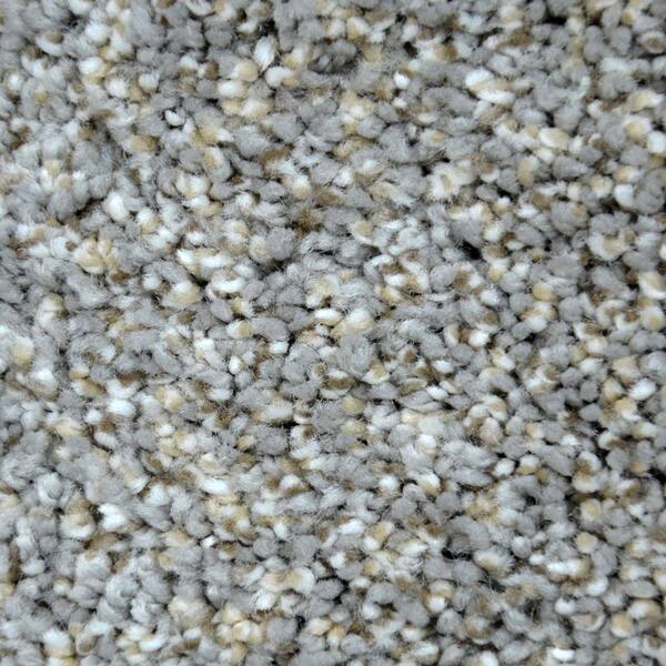 Lifeproof Carpet Sample - Graceful Style II - Color Albany Texture 8 in. x 8 in.