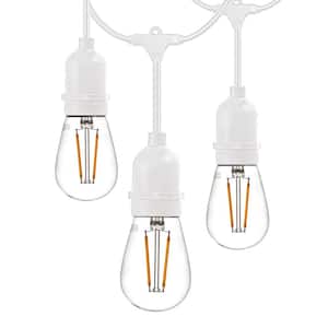 15-Light 48 ft Outdoor Plug-In LED Edison String Light, 16 1-Watt E26 S14 Filament Plastic Bulbs (1 Free), White Cord