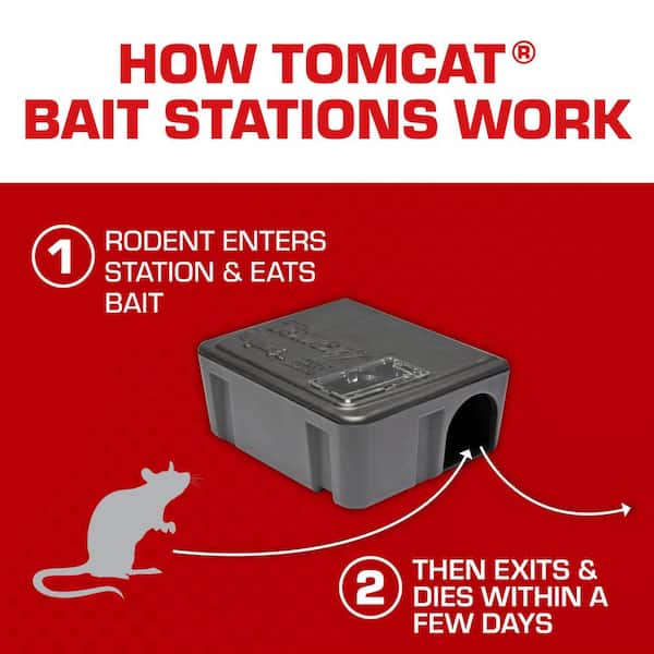 TOMCAT Mouse Snap Trap, Effectively Kills Mice for Clean, No-Touch  Disposal, 4 Traps VB00034 - The Home Depot