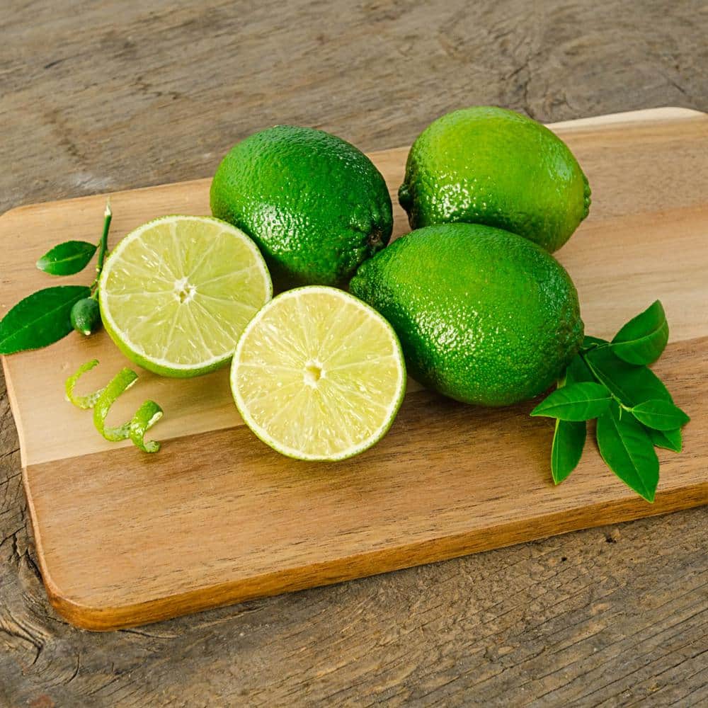 Auto-Kit: Clip & B03 Citrus Lime