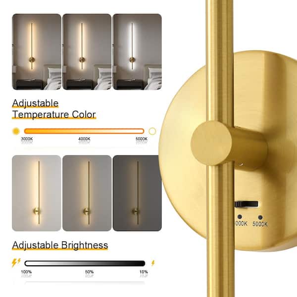 □Golden concept EVD-40 EV / SP / CL stones – GOLDEN CONCEPT