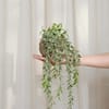 artificial-flowers-avtl6tt1-4f.2