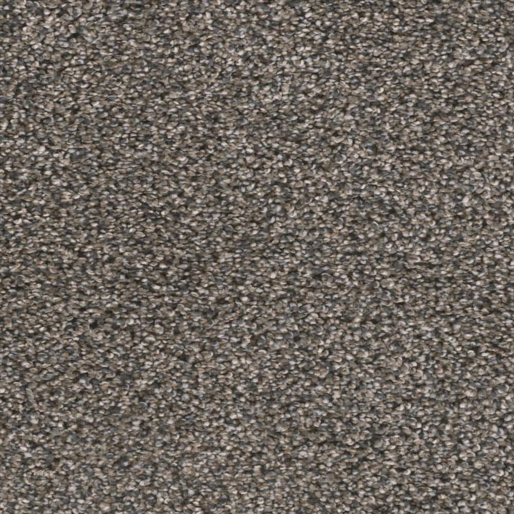 8 in. x  8 in. Texture Carpet Sample - Fall Skies I -Color Pumpkin Seed price history on PriceWatchPro