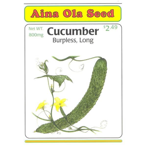 Aina Ola 800 mg Cucumber Burpless Long