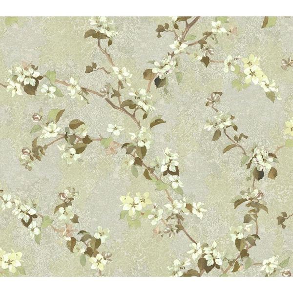 York Wallcoverings Charlotte Apple Blossom Trail Wallpaper