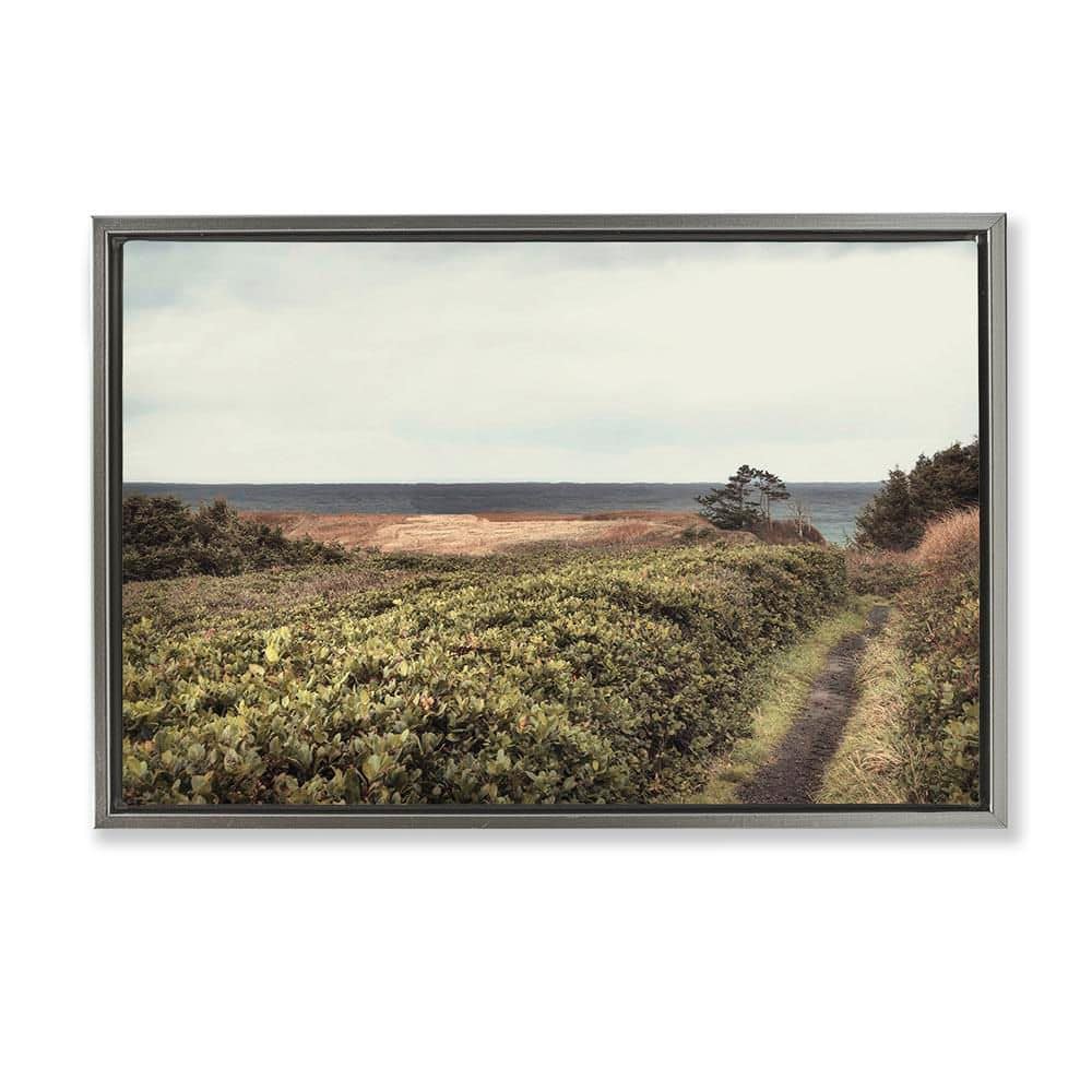 Serene Coastal Pathway by Andy Amos Gray Floater Frame Nature Graphic Art Print 21 in. x 31 in. price history on PriceWatchPro