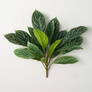 21" Variegated Spathiphyllum; Green
