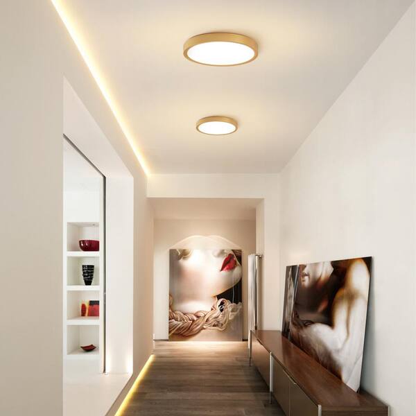 ZJVAIVE 9.06 in. 1-Light Round Gold Integrated LED Flush Mount