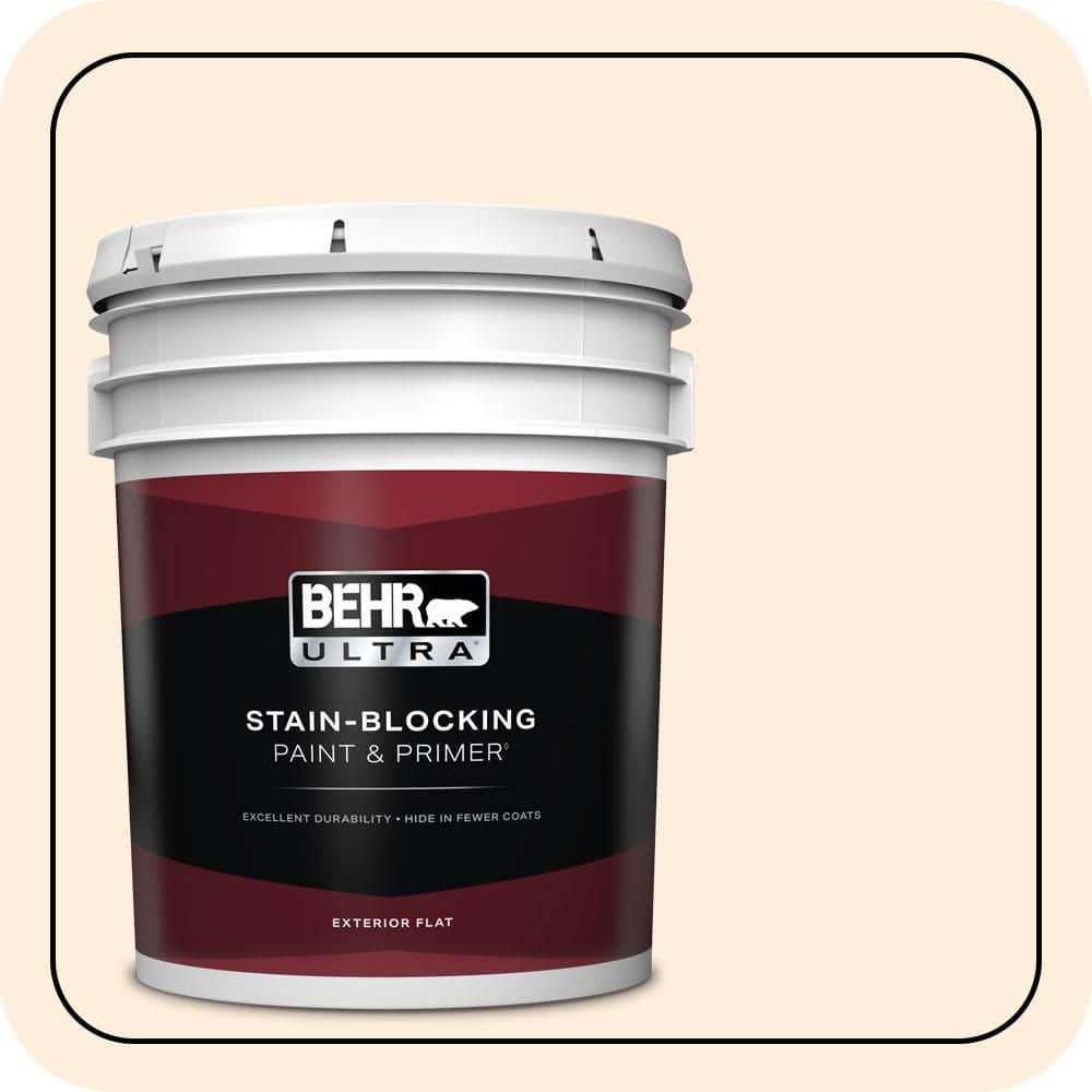 5 gal. #PWN-23 Silk Gown Flat Exterior Paint & Primer price history on PriceWatchPro