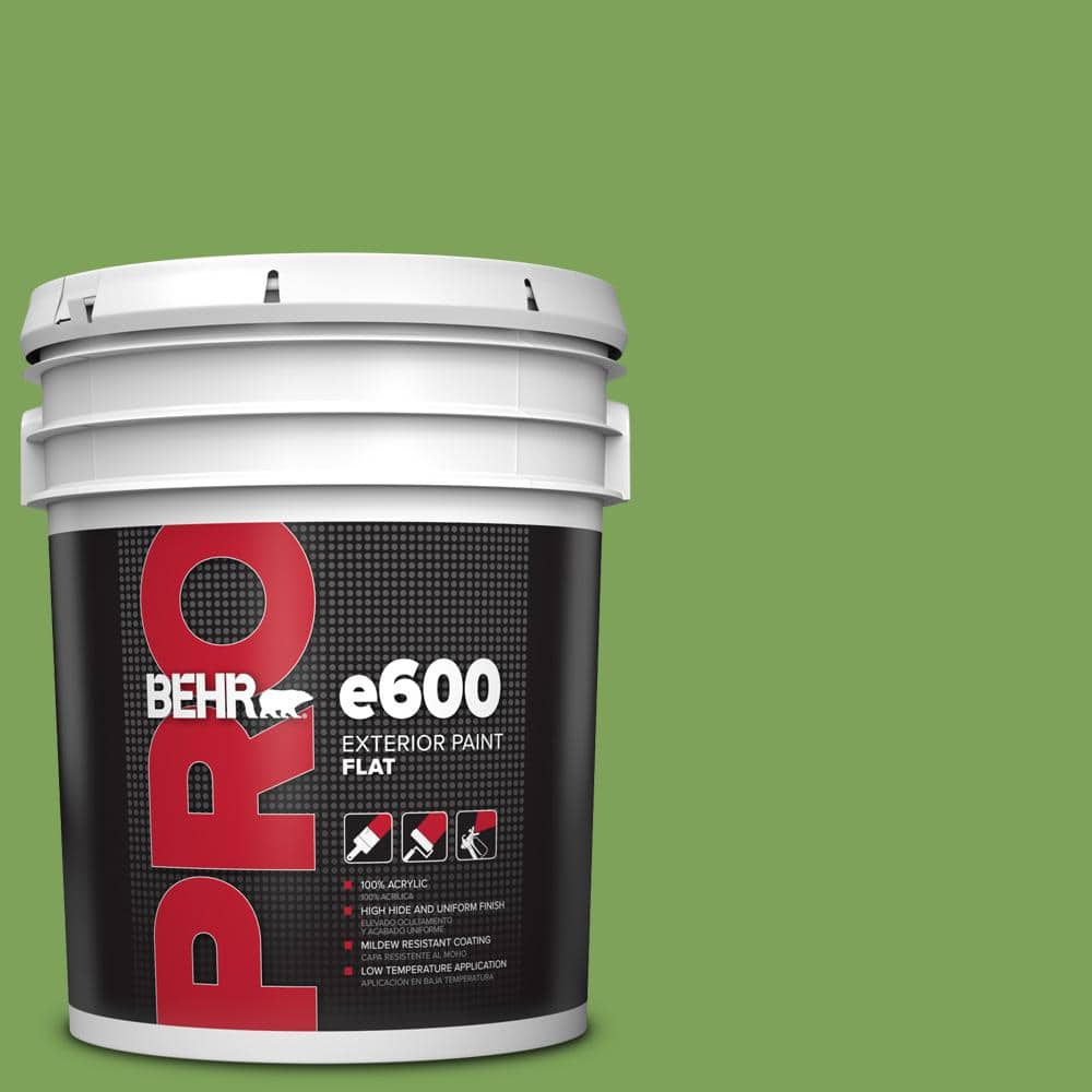5 gal. #P380-6 Springview Green Flat Exterior Paint price history on PriceWatchPro