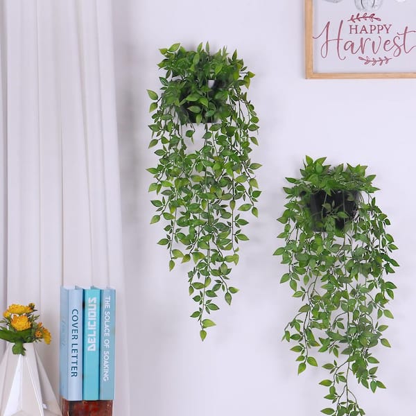 Oyezvary 2-Pack Black Plastic Mandala Vines Hanging Plants with