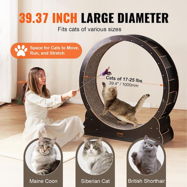 Cat treadwheel best sale