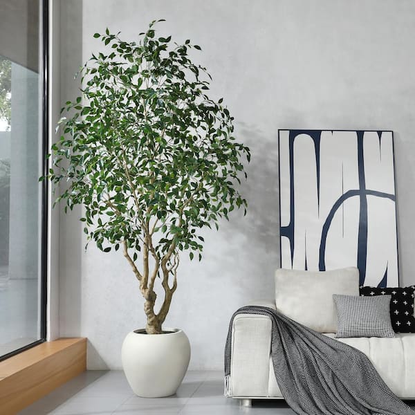 DR.Planzen Artificial 8 ft. Ficus Tree with 18 in. White Planter