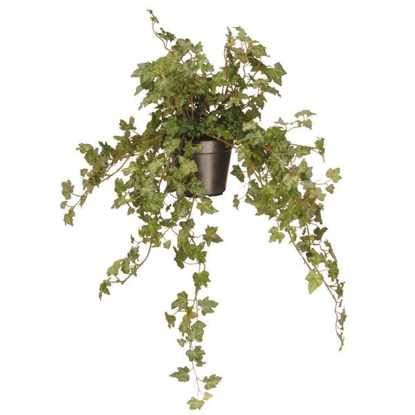 National Tree Company 12 in. Garden Accents Ivy Plant