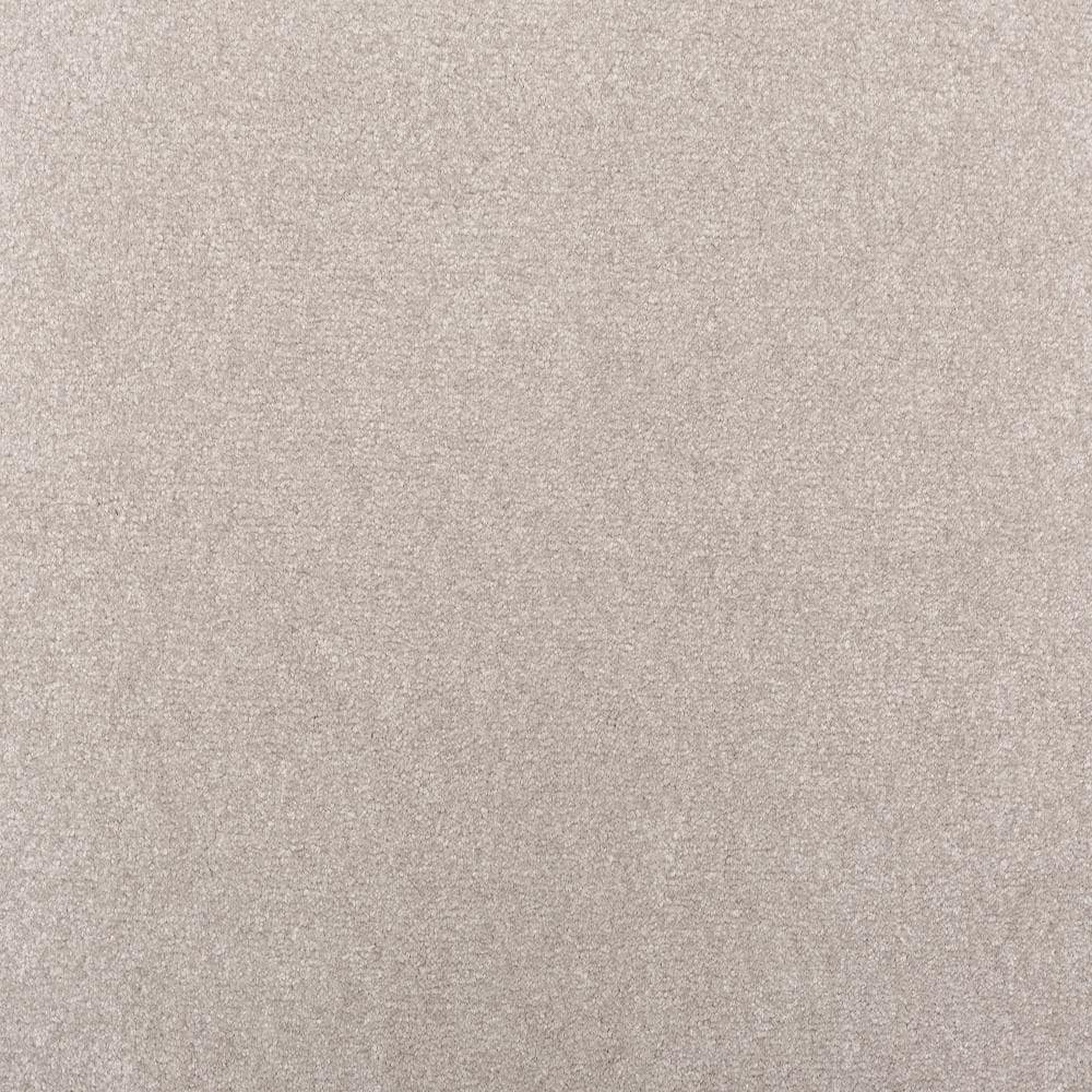 8 in. x 8 in. Texture Carpet Sample - Waking Up II - Color Moonlight price history on PriceWatchPro