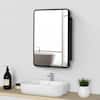 black-medicine-cabinets-with-mirrors-t1027fm1-e1.1