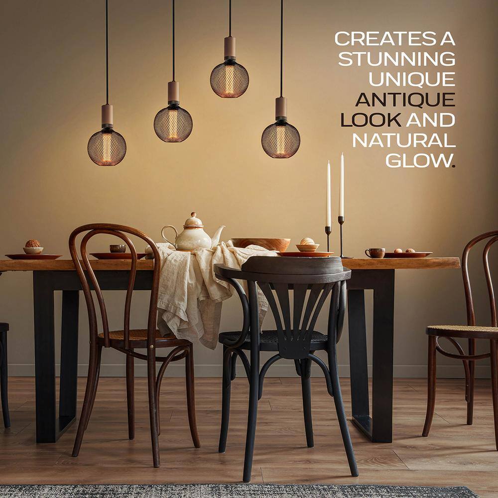 Warm Black Globe LED Bulb with Metal Cage