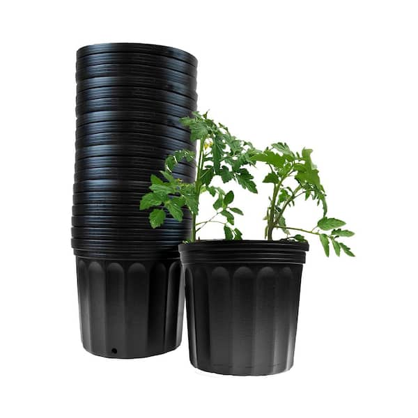 2 Gal. Black Plastic Nursery Pots (24-Pack)