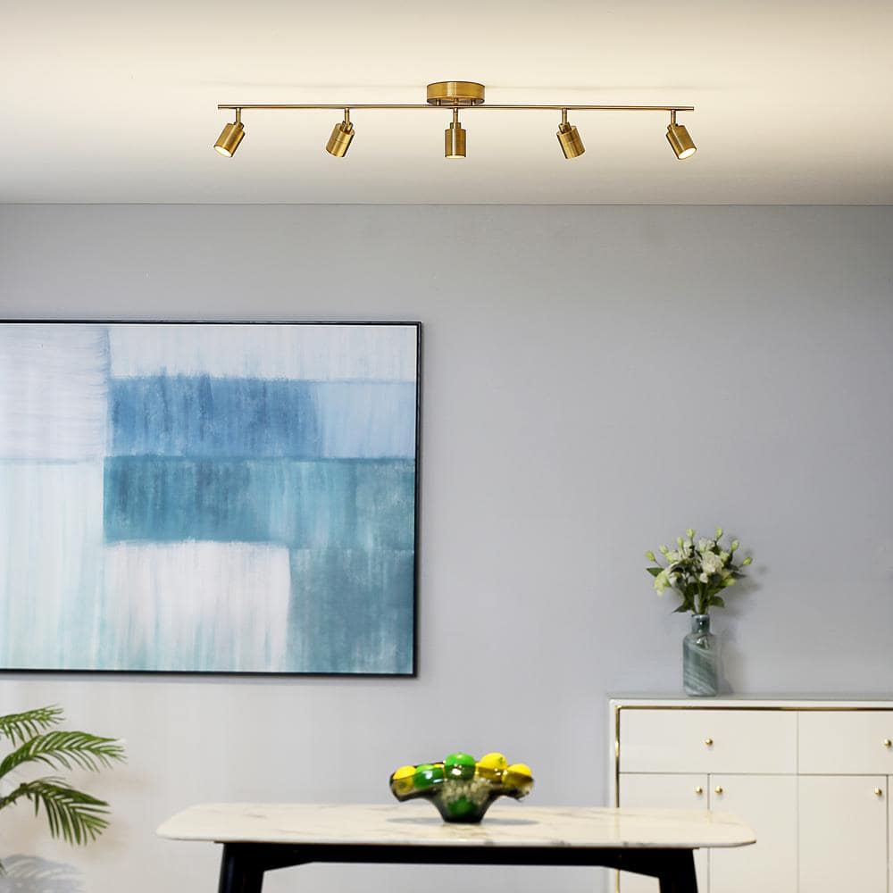 Shura 48" Brushed Brass LED Track Light with Adjustable Heads