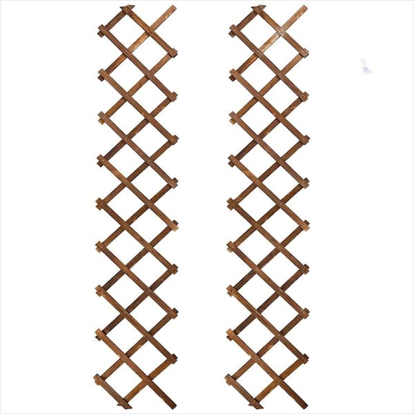 12.8 in. H x 67.2 in. W Expandable Wooden Lattice Wall, Plant Garden Trellis for Outdoor Climbing Plants (2-Pack)
