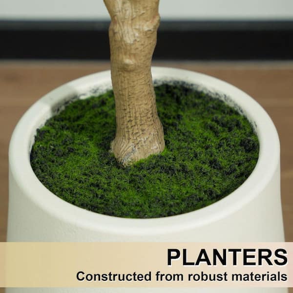 おりーぶ allen + roth 72-in Green Indoor Olive Artificial Tree T4430