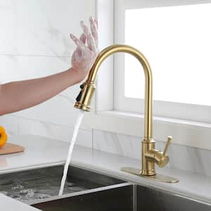 Single Handle Pull Down Sprayer Kitchen Faucet with Touch Sensor in Brushed Gold