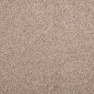 Maisie II  - Prairie Dusk - Beige 52 oz. Triexta Texture Installed Carpet