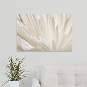 "White Flower" by PhotoINC Studio Canvas Wall Art