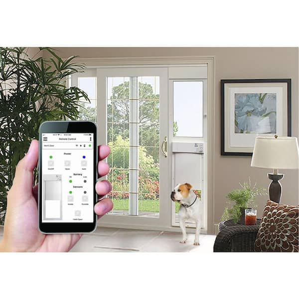 Electronic pet clearance door with app