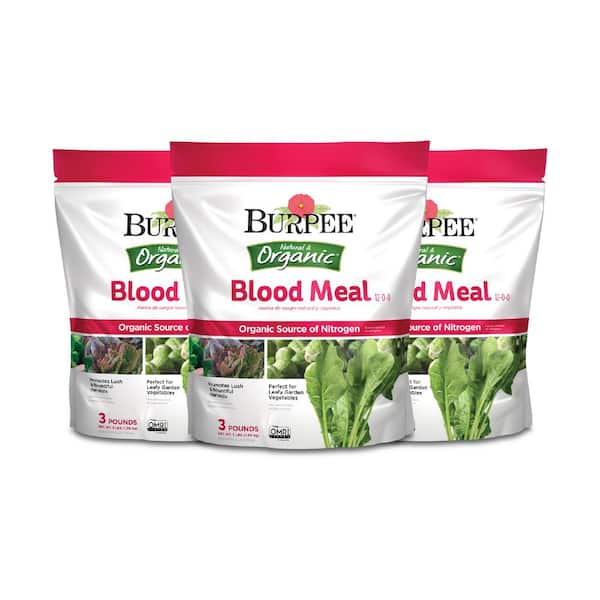 Burpee Natural & Organic 3 lbs. Blood Meal Granule Plant Food (3-Pack)