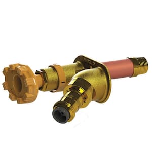 1/2 in. PEX x 14 in. L Freezeless Auto Drain Sillcock with 50HA Backflow Preventer