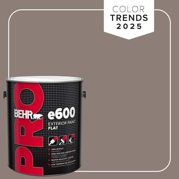 1 gal. #HDC-NT-27B Wild Truffle Flat Exterior Paint