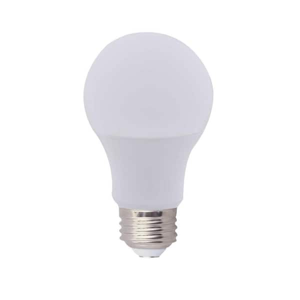 Kit 6 lampadine LED LedByLed - Edison a filamento 6W (60 W) - E27