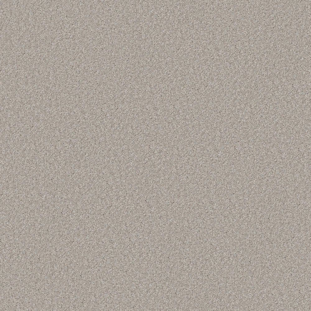 8 in. x 8 in. Texture Carpet Sample - Gifted Moments I - Color Sand Castle price history on PriceWatchPro