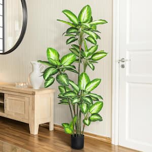 5 ft. Real Touch Green White Artificial Dieffenbachia Tree in Black Pot