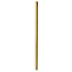 42 in. x 2 in. Pressure-Treated Beveled 1-End Baluster