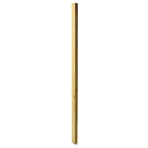 42 in. x 2 in. Pressure-Treated Southern Yellow Pine Wood Beveled 1-End Baluster