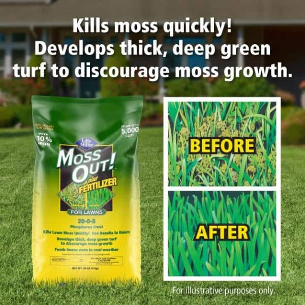 Moss Out! 20 lb. 5,000 sq. ft. Lawn Moss Killer Granules Plus Fertilizer  20-0-5 100508946 - The Home Depot