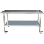 Stainless Steel Kitchen Utility Table with Locking Casters