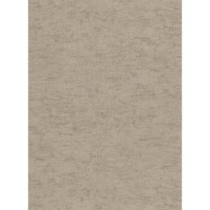 Pembroke Brown Faux Plaster Brown Wallpaper Sample