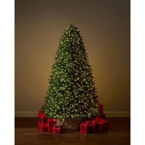 7.5 ft. Jackson Noble Fir LED Pre-Lit Artificial Christmas Tree T23