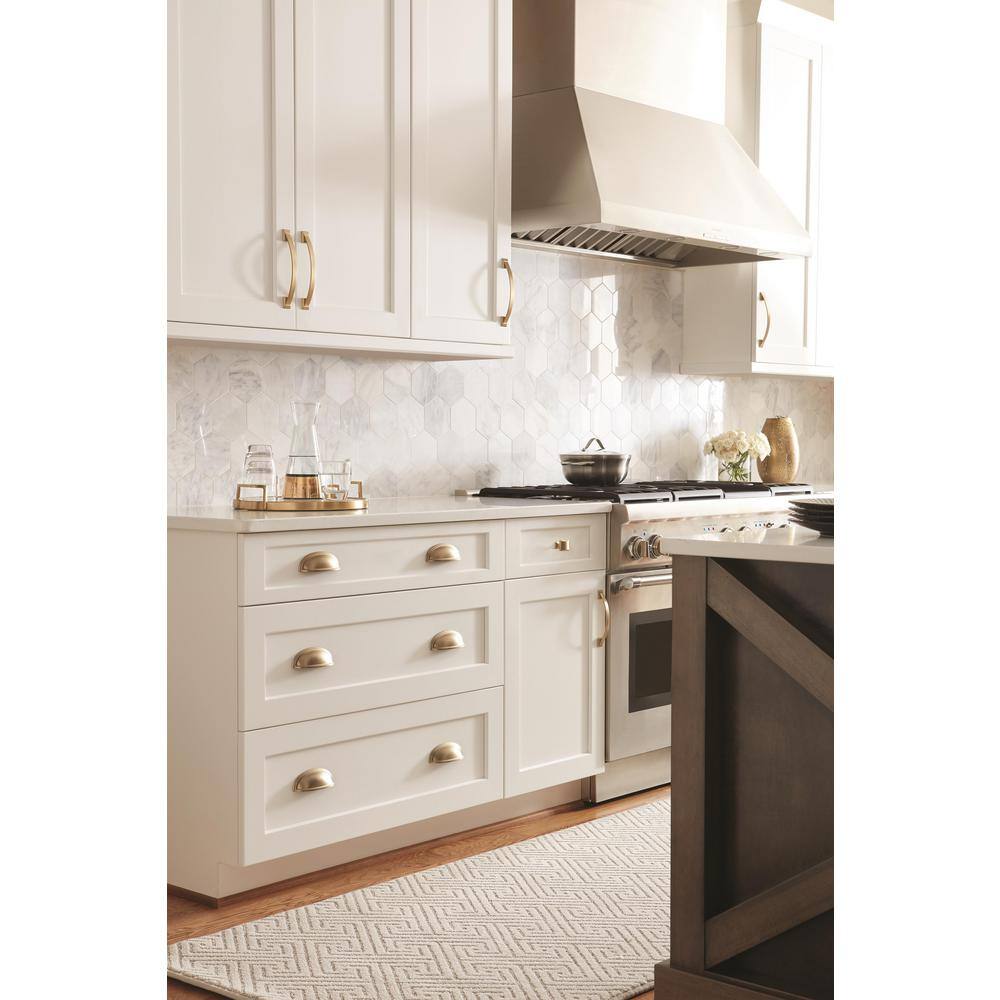 Golden Champagne Modern Rectangular Cabinet Knob with Mounting Hardware