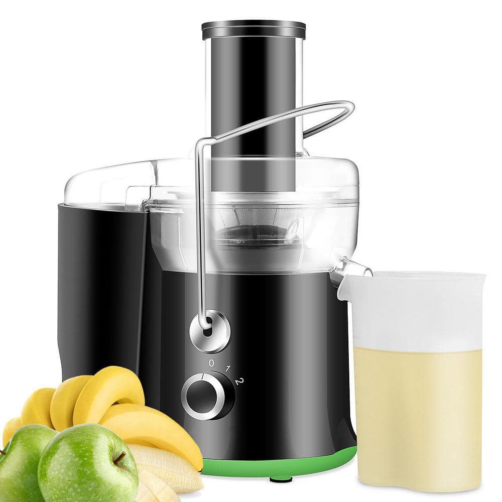 Stainless Steel 2-Speed Wide Mouth Electric Juice Extractor, Juice Machine