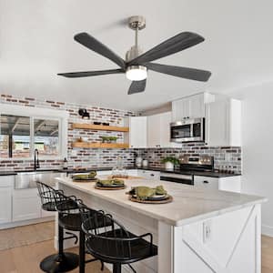 52 in. Indoor/Outdoor Nickel 5-Blade Ceiling Fan with 3 Color Temperature LED with Remote Control and ‎App Control