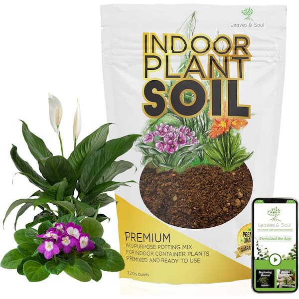 LEAVES AND SOUL Indoor Plant Soil, Premium Blend, 2.2 qt., Ready to Use, Peat, Coco Coir, Perlite, Dolomite